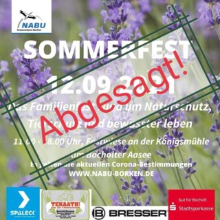 Absage Sommerfest 2021
