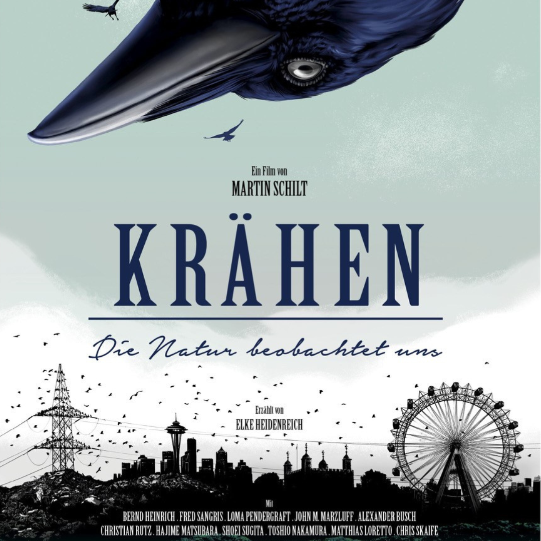 Kinovorstellung des Films „Krähen“ – Dienstag // 23. Januar 2024 // 20 Uhr // Bocholt